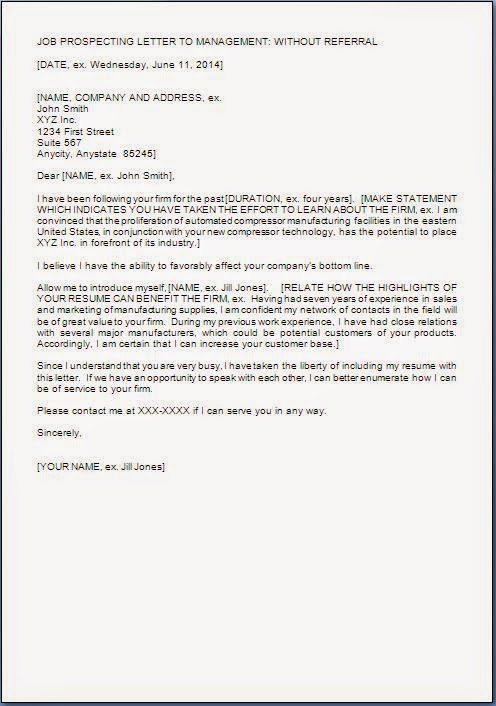 Job Application Letter Sample (and How to Write)